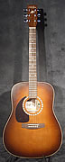 guitare Art et Lutherie (guitare Godin) gaucher