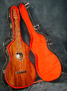 Guitare Maurice Dupont
