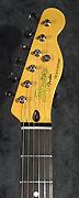 Squier