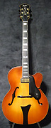 D5060 Hofner New President