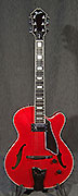 D7163 Fender Custom Shop D'Aquisto