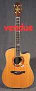 Takamine LTD 2003