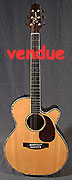 Takamine TNV460SC