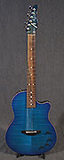 Tom Anderson Crowdster