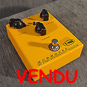 T Rex Mudhoney Distortion