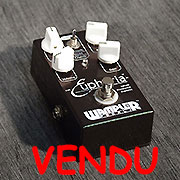 D8465 Wampler Euphoria