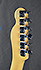Fender Telecaster American Standard de 1998
