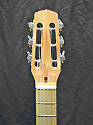 Guitares Anyhony Viste