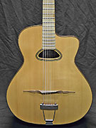 Guitares Anyhony Viste