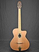 Guitares Anyhony Viste