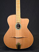 Guitares Anyhony Viste