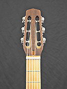 Guitares Anyhony Viste