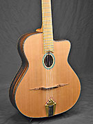 Guitares Anyhony Viste