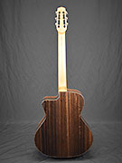 Guitares Anyhony Viste