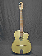 Guitares Anyhony Viste