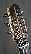 FB Lutherie