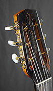 FB Lutherie