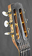 Guitares laurentberger Guitars