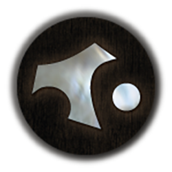 Remi Petiteau Luthier