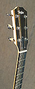 Guitares Taylor