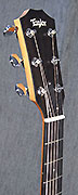 Guitares Taylor