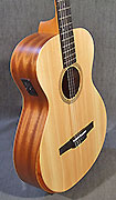 Guitares Taylor