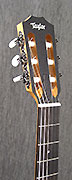 Guitares Taylor