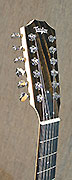Guitares Taylor