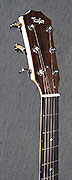 Guitares Taylor