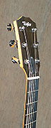 Guitares Taylor
