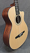 Guitares Taylor