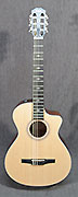 Guitares Taylor