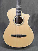 Guitares Taylor