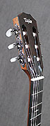 Guitares Taylor