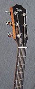 Guitares Taylor