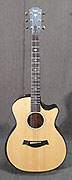 Guitares Taylor