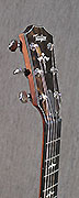 Guitares Taylor