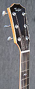 Guitares Taylor
