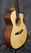 Guitares Taylor