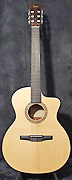 Guitares Taylor