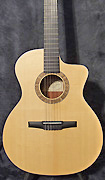 Guitares Taylor