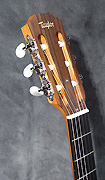 Guitares Taylor