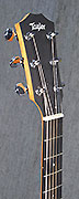 Guitares Taylor