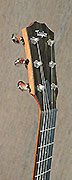 Guitares Taylor