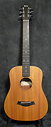 Guitares Taylor