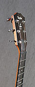 Guitares Taylor