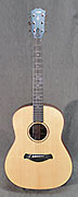 Guitares Taylor