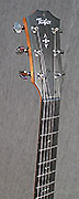 Guitares Taylor