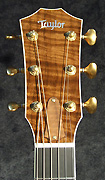 Guitares Taylor
