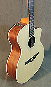 Guitares Taylor